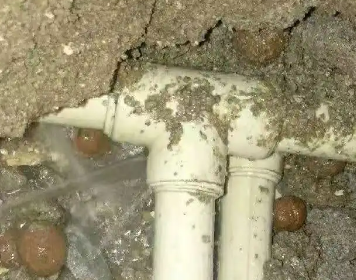 钟楼测漏水多少钱