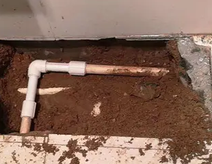 钟楼测漏水哪家好