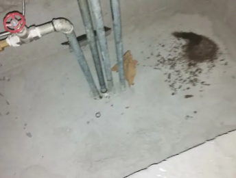 钟楼卫生间测漏水价格明细