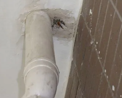 钟楼漏水检测哪家好